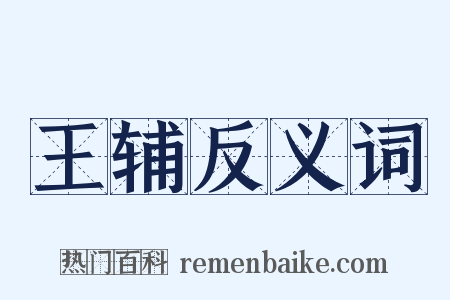 王辅反义词是什么意思的图片